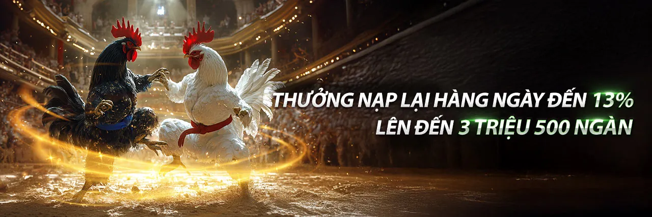 Hình nền đá gà 88e với không khí sôi động